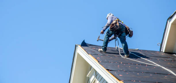Best Roof Gutter Cleaning  in Gang Mills, NY